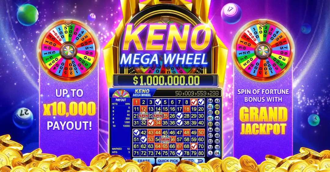 bet979 mugni cassino livre